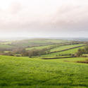 11839   Rolling green hills on a misty day