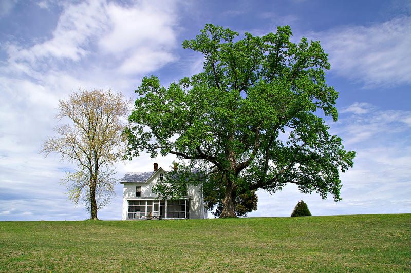 <p>A solitary white house sits under a huge oak tree on top of a hill during springtime.</p>

<p><a href="http://pinterest.com/michaelkirsh/">http://pinterest.com/michaelkirsh/</a></p>
A solitary white house sits under a huge oak tree on top of a hill during springtime.