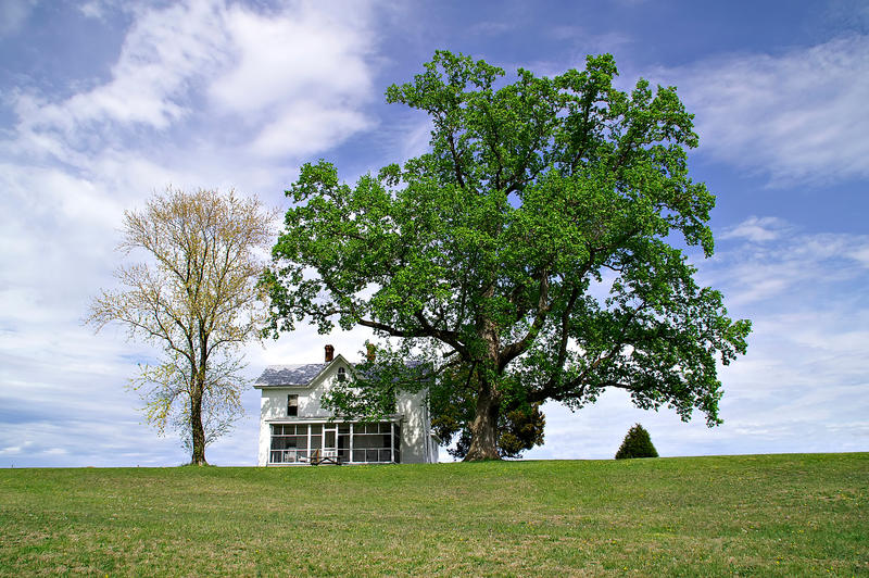 <p>A solitary white house sits under a huge oak tree on top of a hill during springtime.</p>

<p><a href="http://pinterest.com/michaelkirsh/">http://pinterest.com/michaelkirsh/</a></p>
A solitary white house sits under a huge oak tree on top of a hill during springtime.