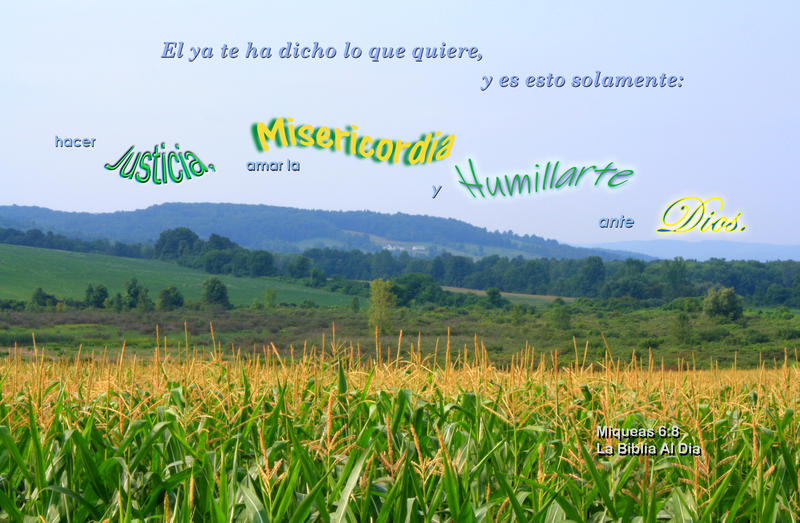 <p>Cornfield with hills in the background</p>
Cornfield with hills in the background