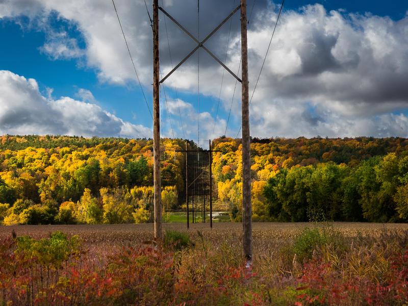 <p>Autumn Powerlines with colorful trees.</p>
