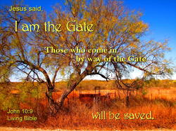 16915   Jesus is the Gate