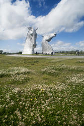 12854   Landscape view of the Kelpies, Falkirk, Scotland