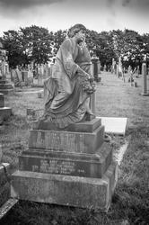 17040   Black and white gravestone in a graveyard