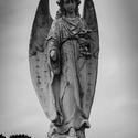 17042   Layton cemetery, Blackpool. UK