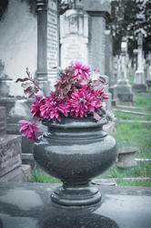 17044   Flowers on a gravestone