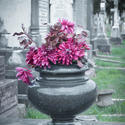 17044   Flowers on a gravestone