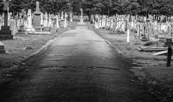 17045   Layton cemetery / graveyard