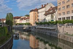 12050   ljubljanica river early in a summer morning