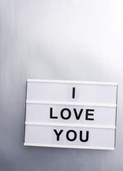 13508   I Love You sign