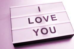 13502   Changeable I Love You sign
