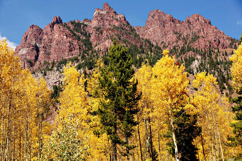 <p>At Maroon Lake Colorado jagged spires form the backdrop to peak golden autumn aspen trees. This a part of a series of photographs taken at Maroon Lake on 9-22-2012.</p>