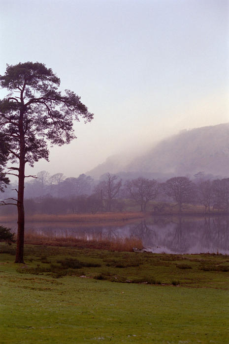 a light mist covering a rural morning landscape