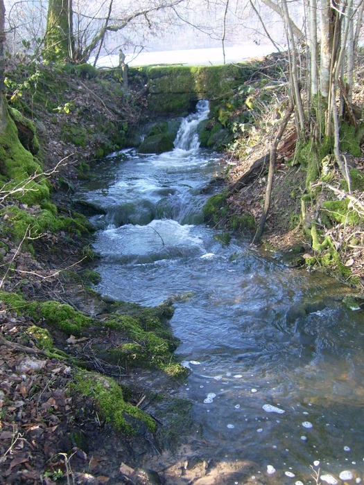 <p>&nbsp;pond overflow - winter</p>
