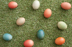 13486   Easter eggs on grass