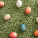 13486   Easter eggs on grass