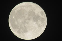 13063   pattened moon shot