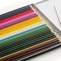 12184   Case of various colored pencils and brush