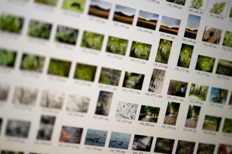 Selective focus view of photographic thumbnails on screen of monitor for asset management concept