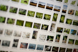 12185   Photographic image asset management closeup