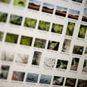 12185   Photographic image asset management closeup