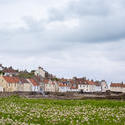 12858   Row of quaint fisherman cottages Pittenweem