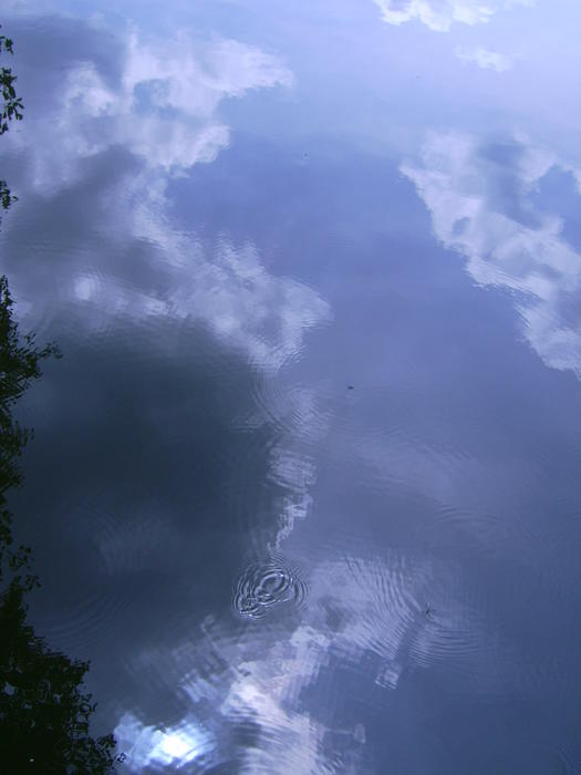<p>water pond shadow cloud</p>
