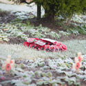 16841   Poppy wreath at a World War One and Two memorial