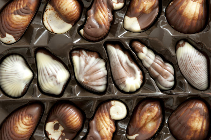 Assortment of luxury variegated shell shaped pralines in their original molded packaging as a gift for a loved one