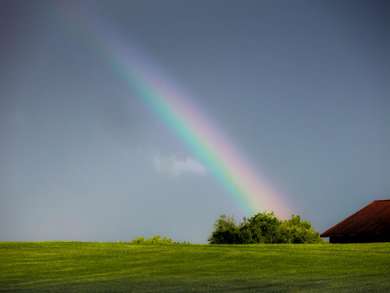 <p>Rainbow on the lawn after the rain.</p>
