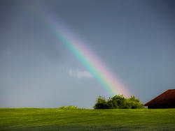 12004   rainbow