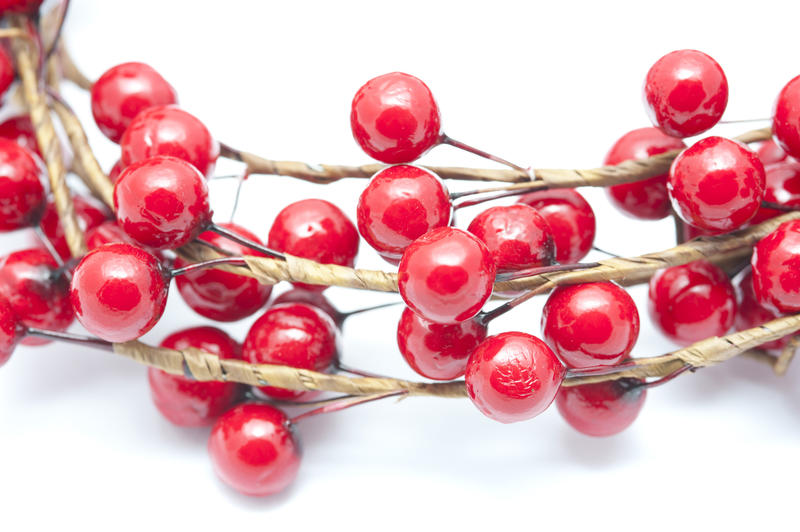 Isolated spray of festive red Christmas berries in a close up view on white for an elegant simple card or invitation