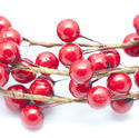 13161   Isolated spray of festive red Christmas berries