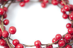 13162   Border or frame of festive red Christmas berries