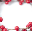 13162   Border or frame of festive red Christmas berries