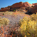 12232   Red Rocks Park Afternoon