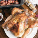 17172   Roast Christmas turkey with accompaniments