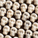 12784   Neatly arranged plastic skull background