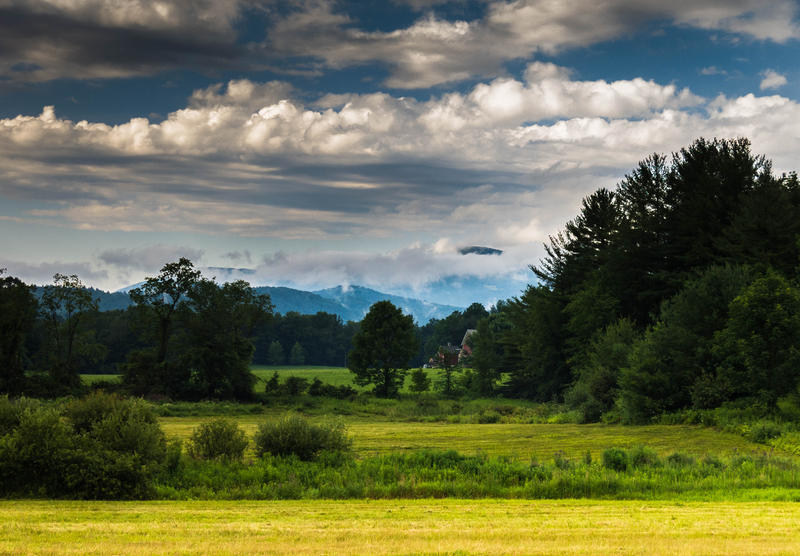 <p>Early morning fog in Summer in rural Vermont and mountains and clouds with green vegitation. </p>