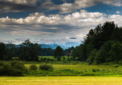 12020   rural vermont