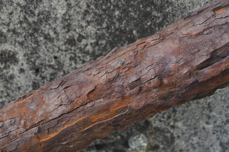 15639   Rust on a handrail 