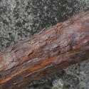 15639   Rust on a handrail 