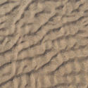 15568   Sand background