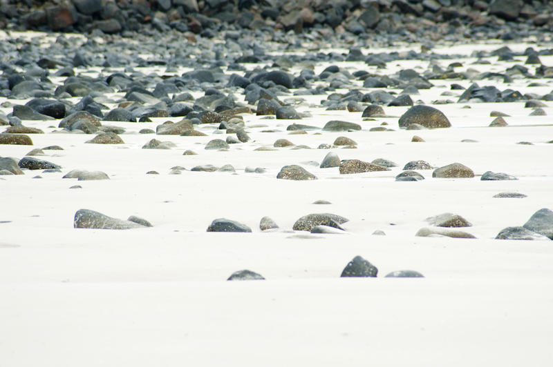 Sandy beach with multiple scattered rocks half buried in the sand in a full frame nature view with no people