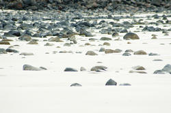 11823   Sandy beach with multiple scattered rocks