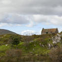 13235   sheep grazing near cottage in connemara