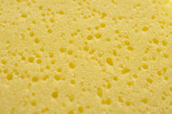 12687   yellow sponge with pock marks