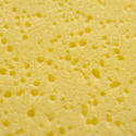 12687   yellow sponge with pock marks