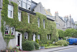 12849   Creeper covered old stone houses