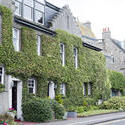 12849   Creeper covered old stone houses